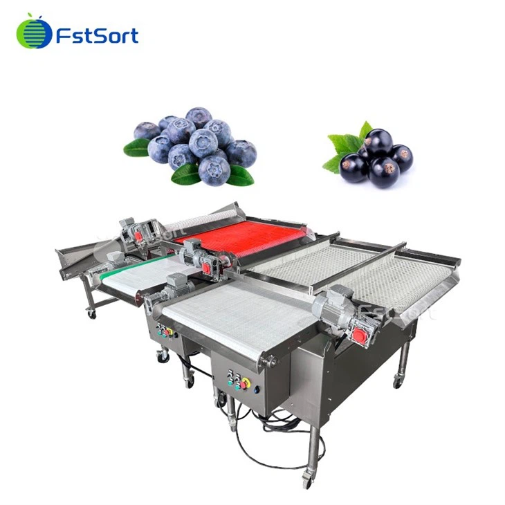 Precision Belt Blueberry Sorting Machine