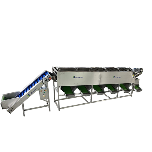 chestnut grader chestnut grader