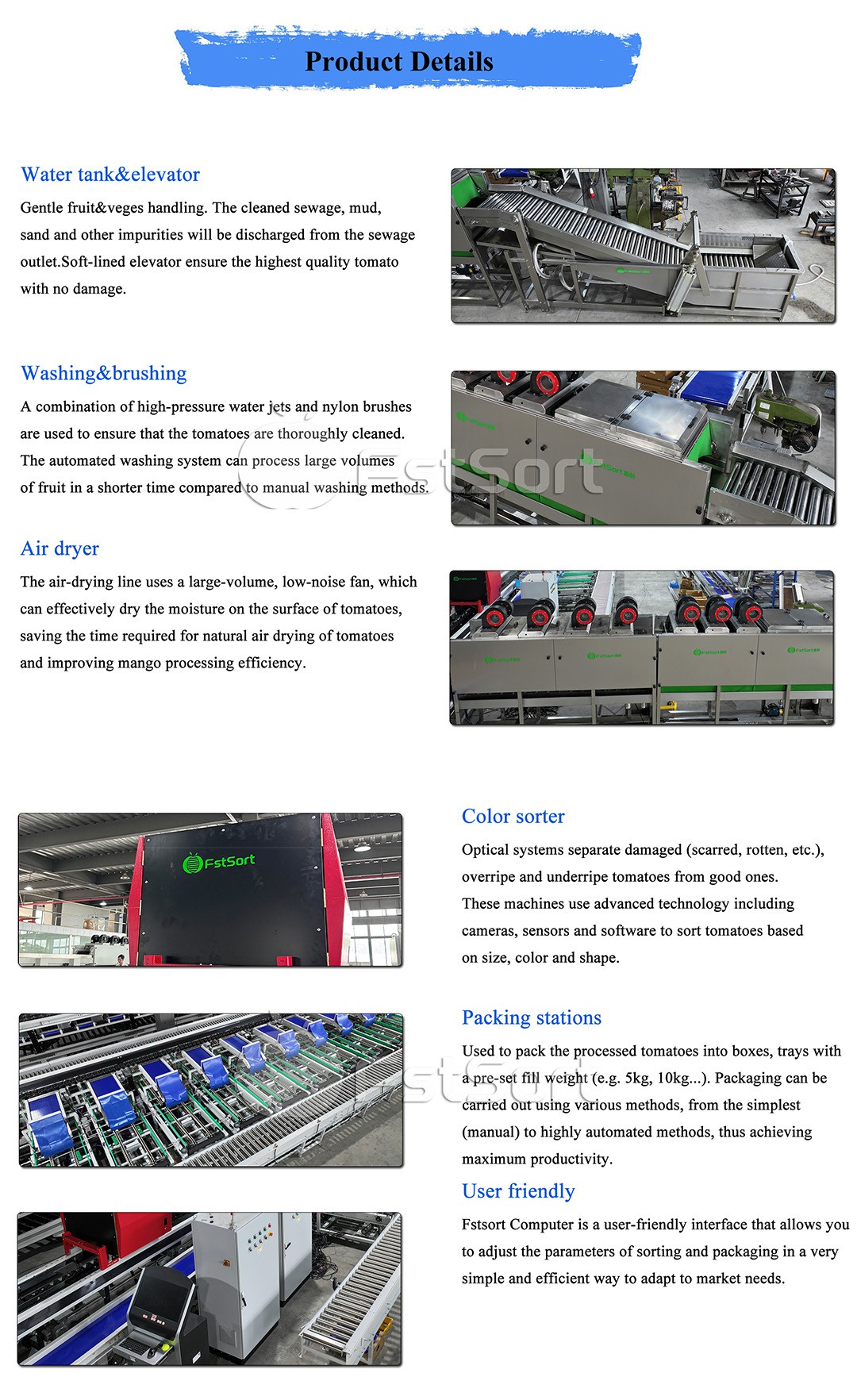 tomato color sorter machine