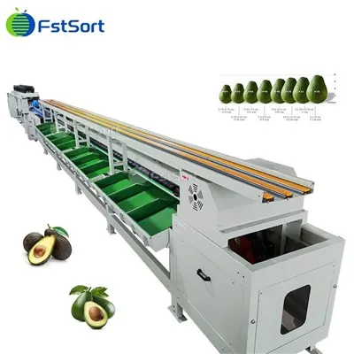 Electric Avocado Washing Weight Sorting Machine