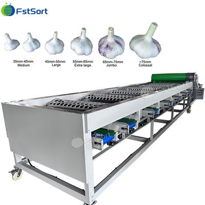 Hot Selling Garlic Drum Sorting Machine