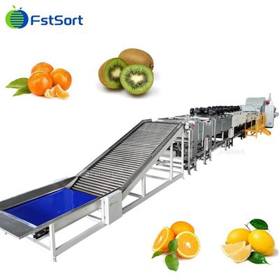 Fully Automatic Citrus Washing Drying Waxing Sorting Machine
